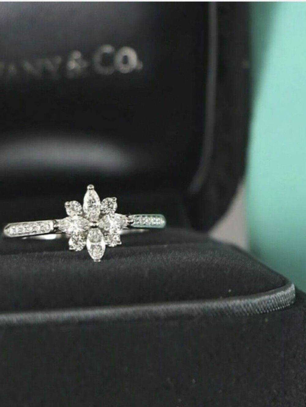 Tiffany & Co. Victoria Platinum Diamond Ring - Size 6